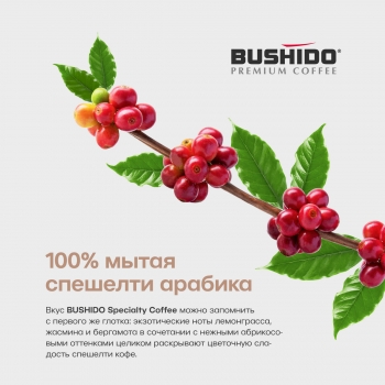 Кофе в зернах BUSHIDO Specialty Coffee Ethiopia Yirgacheffe 227 гр.